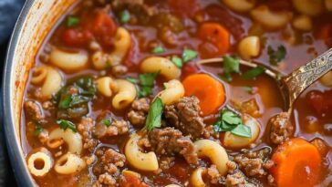 Beef and tomato macaroni soup