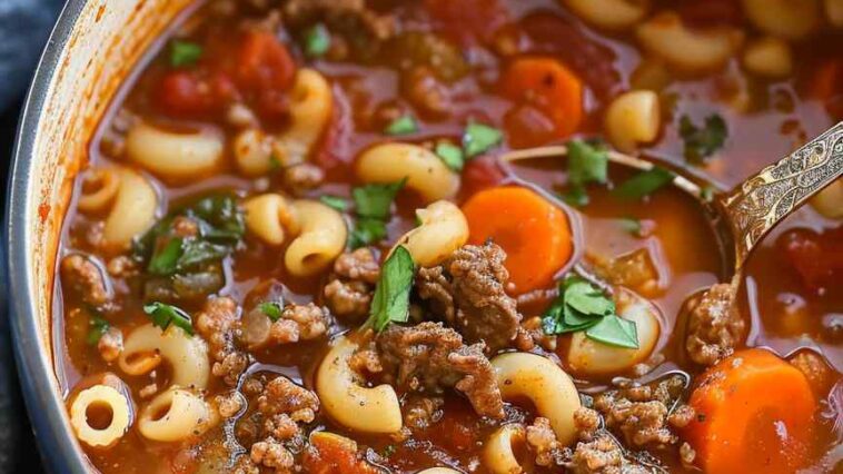 Beef and tomato macaroni soup