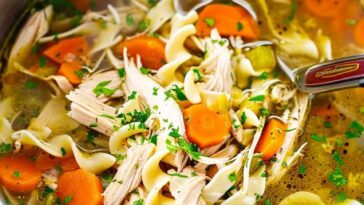 Instant Pot Chicken Noodle Soup