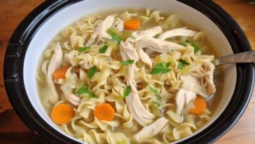 SLOW COOKER CHICKEN NOODLE SOUP