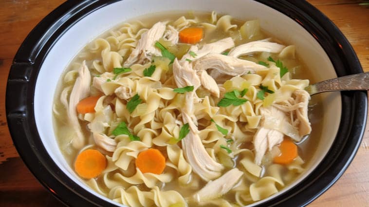SLOW COOKER CHICKEN NOODLE SOUP