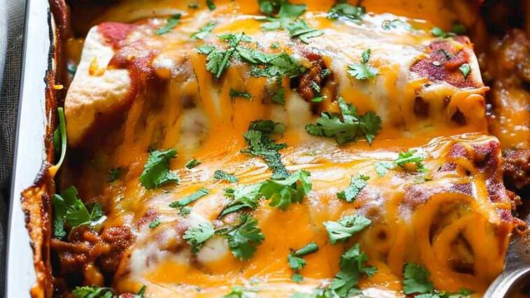 Shredded beef enchiladas